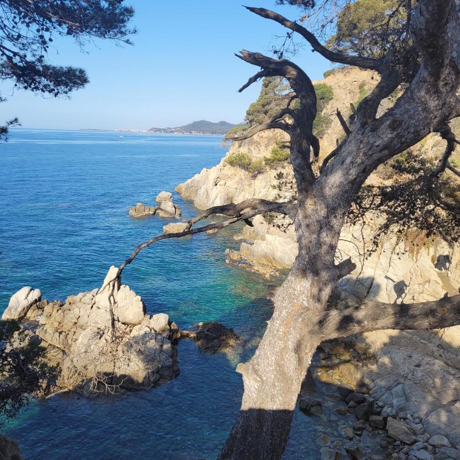 Apartamento delante del mar Lloret de Mar Exterior foto